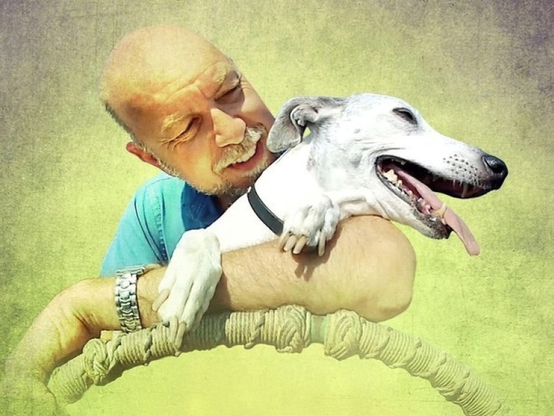 Abby's List: A Dogumentary (MAC Film Series)