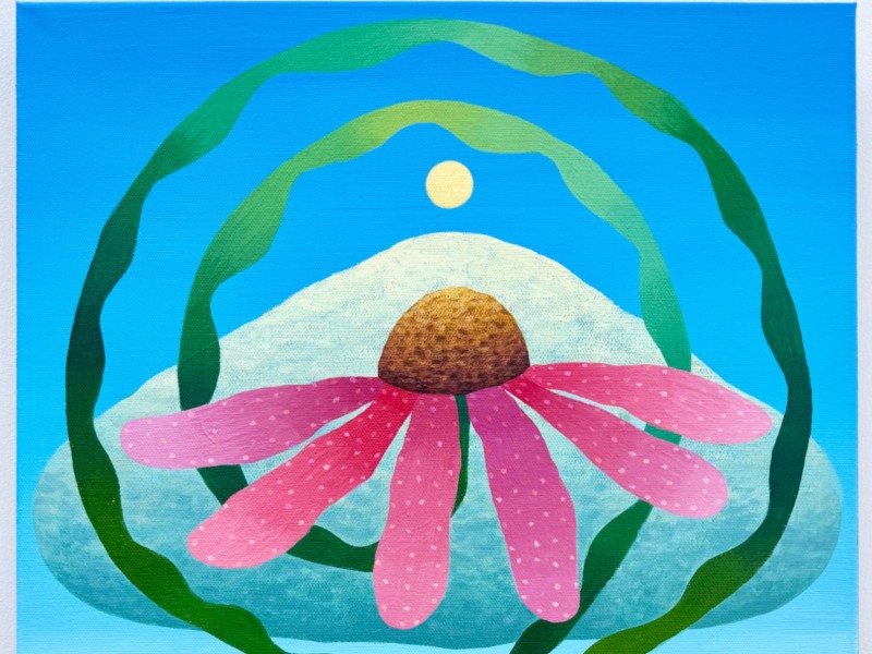Artist-guided gallery tour with Aaron Troyer