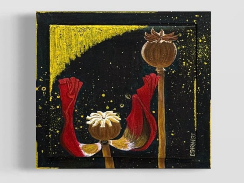 Artist-guided gallery tour with Emily Strange