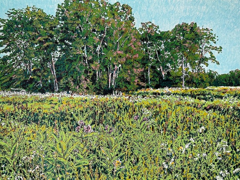 Kathy McGhee &ndash; Printed Landscapes