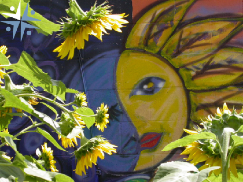 MAC Member Event -  Interview of artist Dr. Loren Bucek by MAC Executive Director Kimberlee Goodman