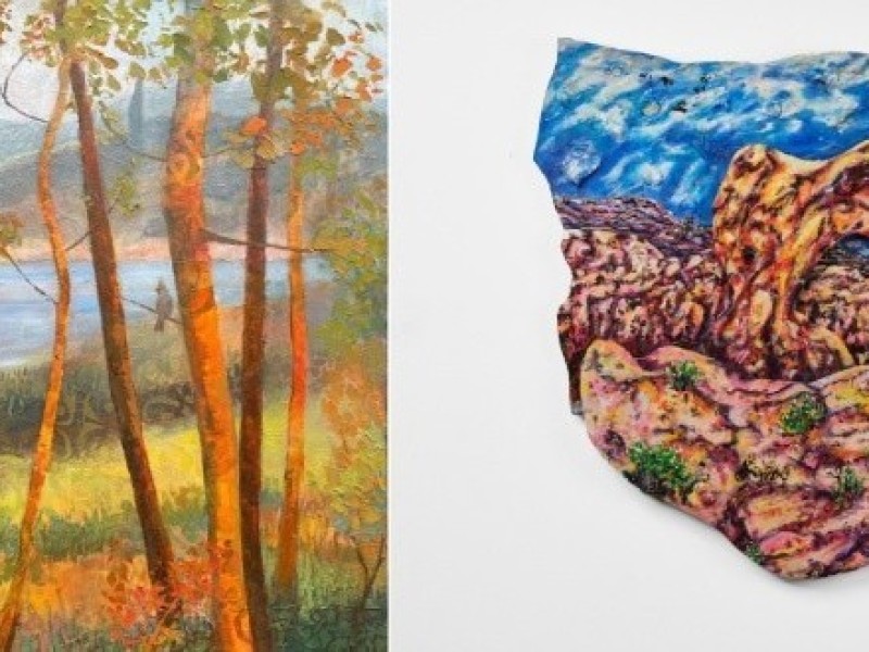 Transient Boundaries: Mixed Media Narratives in Nature: Robie Benve & Dawn Petrill