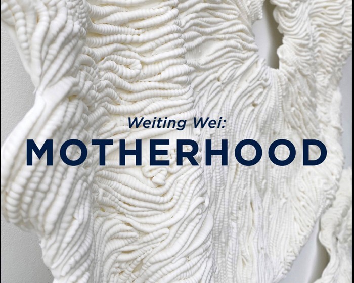 Witing Wei: Motherhood at the MAC
