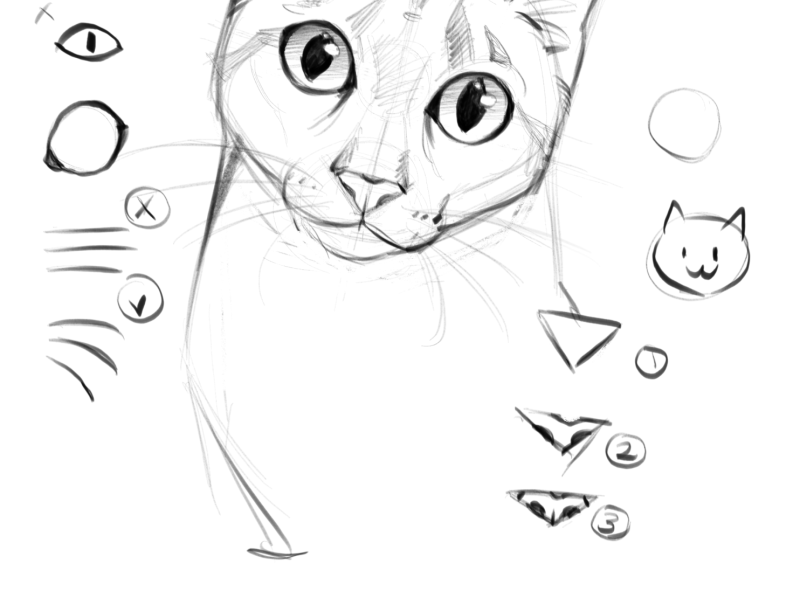Animal Drawing (7 Sessions)