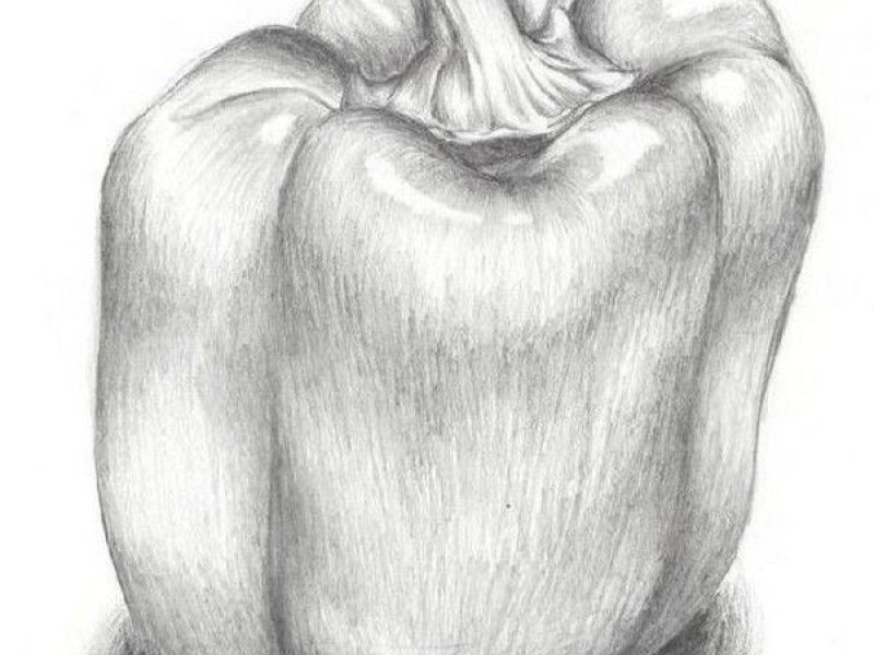 Beginner Drawing (7 sessions)