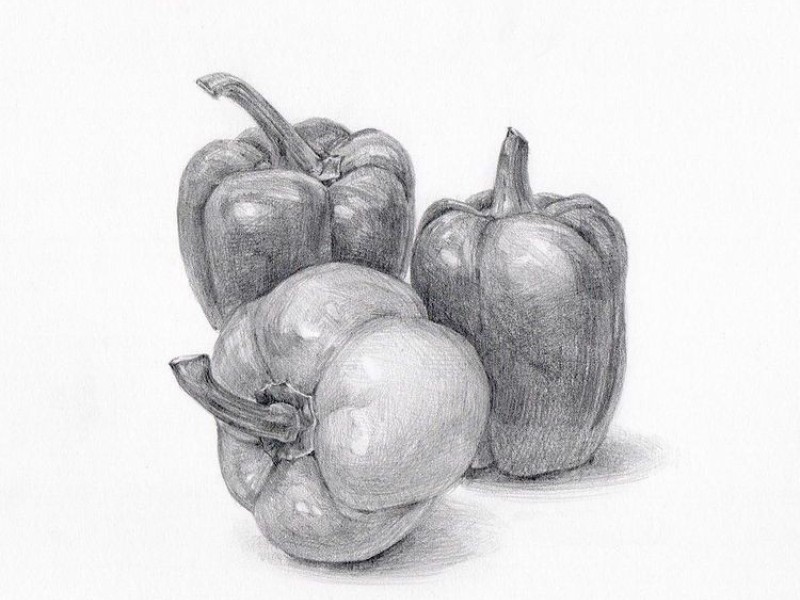 Beginner Drawing (9 sessions)