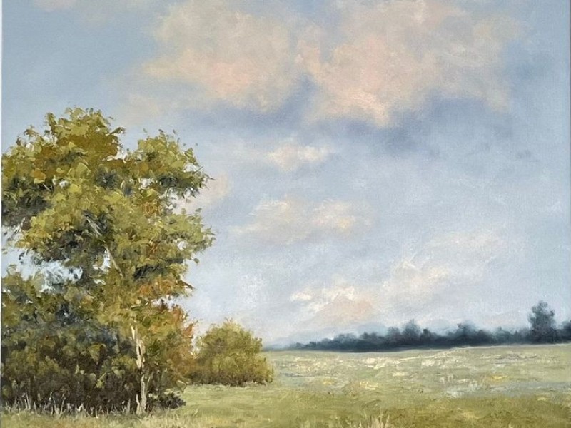 Beginner Oil Painting (5 sessions)