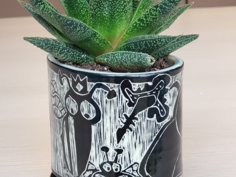 Ceramics: Planters (5 sessions)