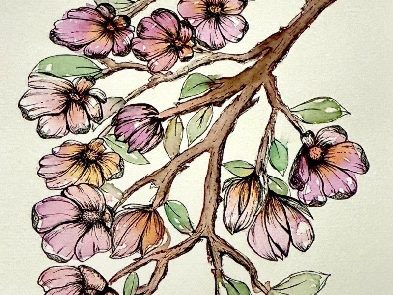 Experimental Watercolor and Pen Drawing (4 sessions) (Fall #1)
