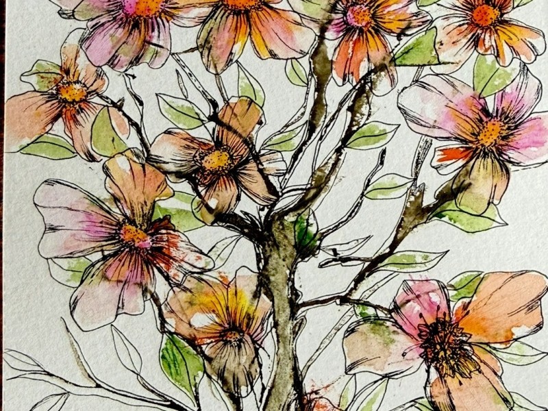 Experimental Watercolor and Pen Drawing (5 sessions) (Fall #2)