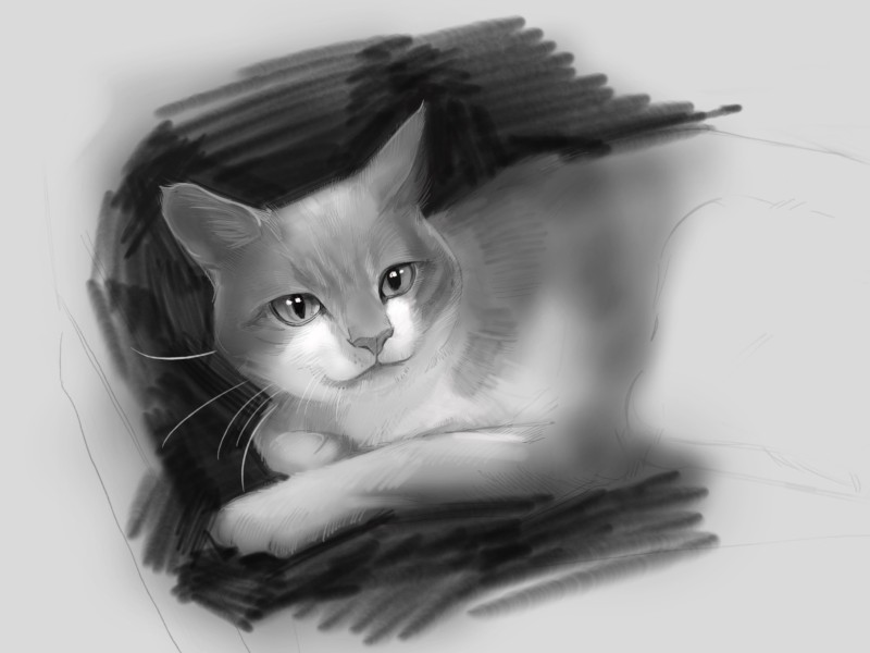 Intro to Digital Art for Procreate (7 sessions)