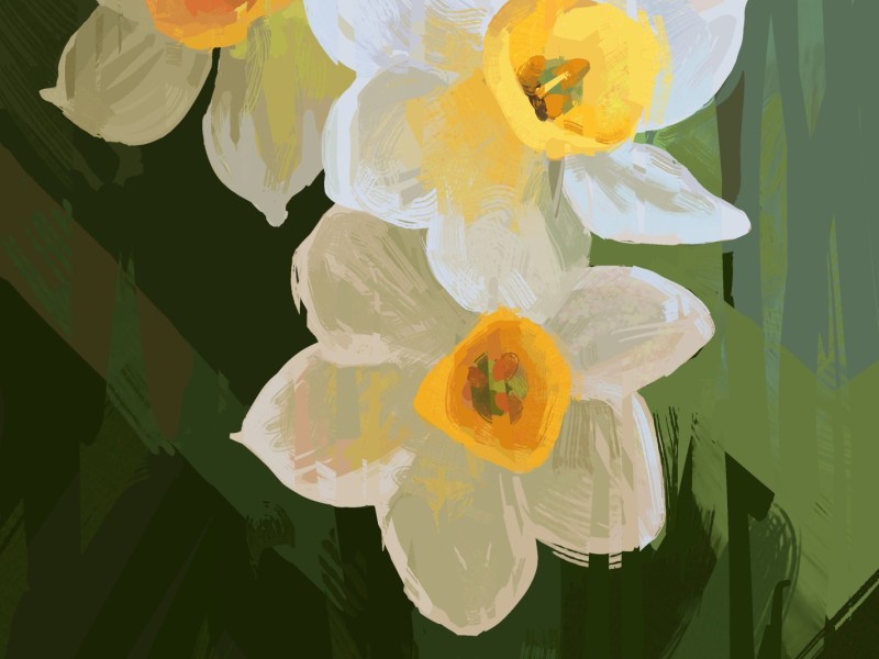 Intro to Procreate for Adults (5 sessions)
